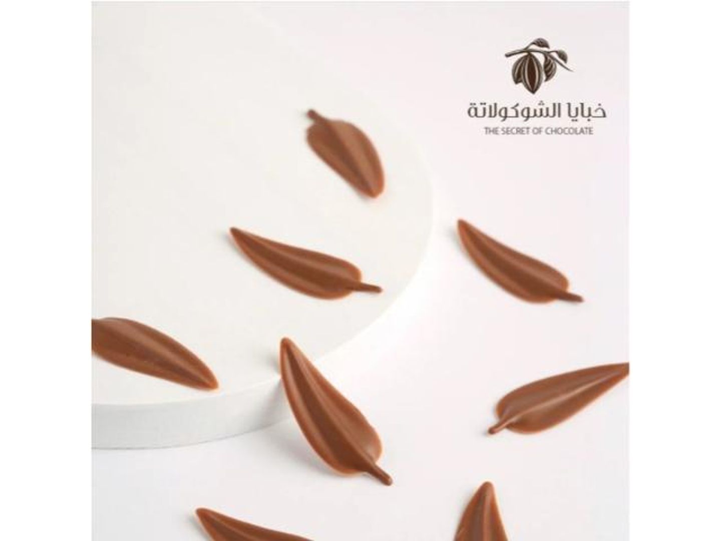 ديكور ريشه