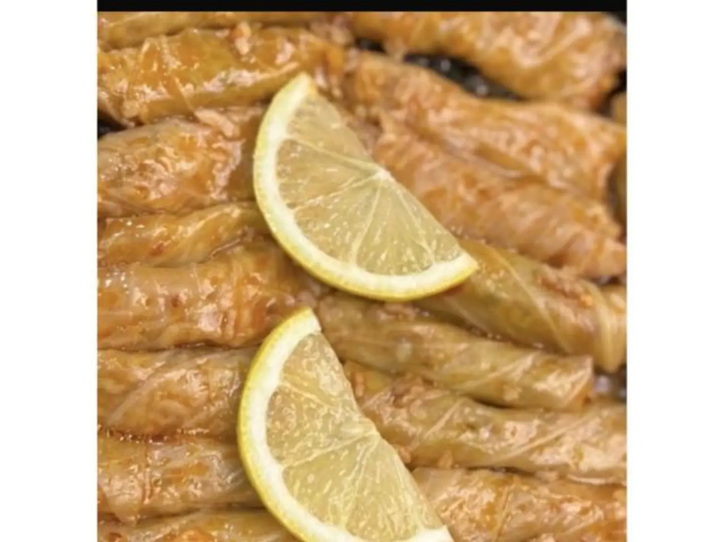 ملفوف