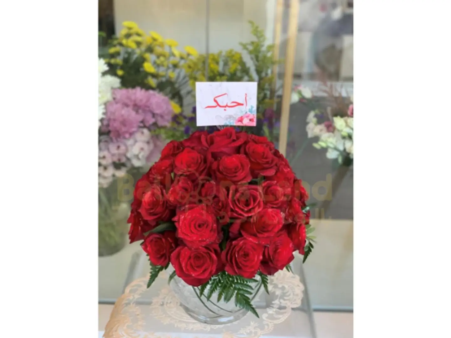 فازه ورود الجوري