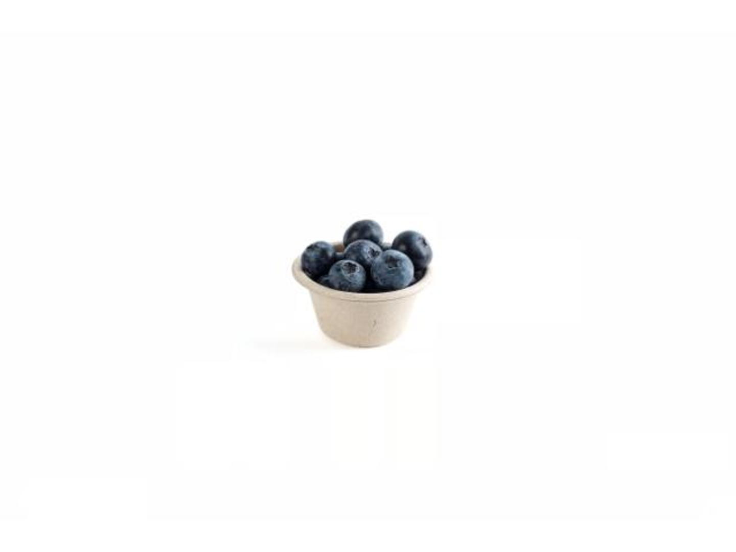 Fresh Blueberries