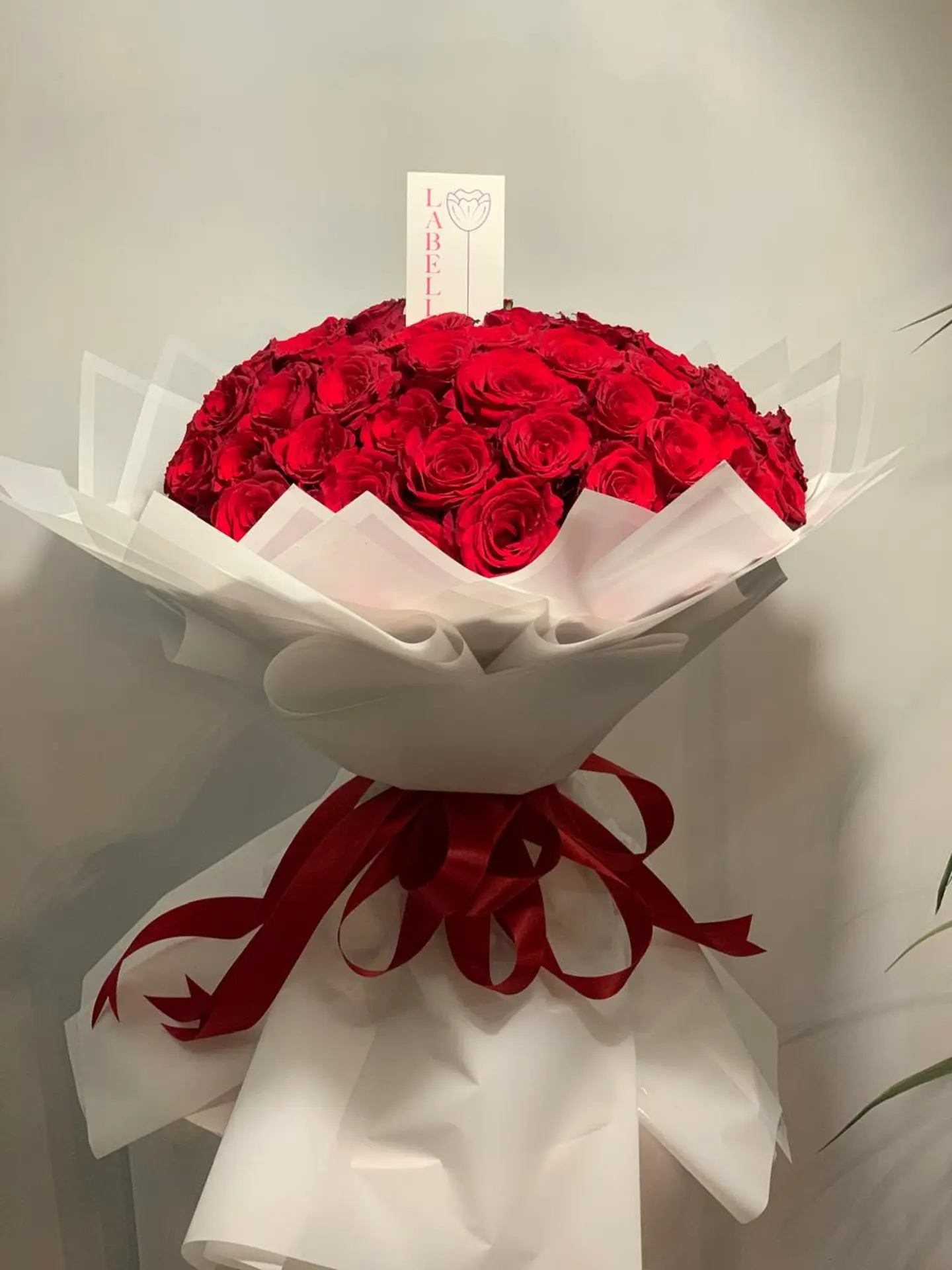 Kind Roses