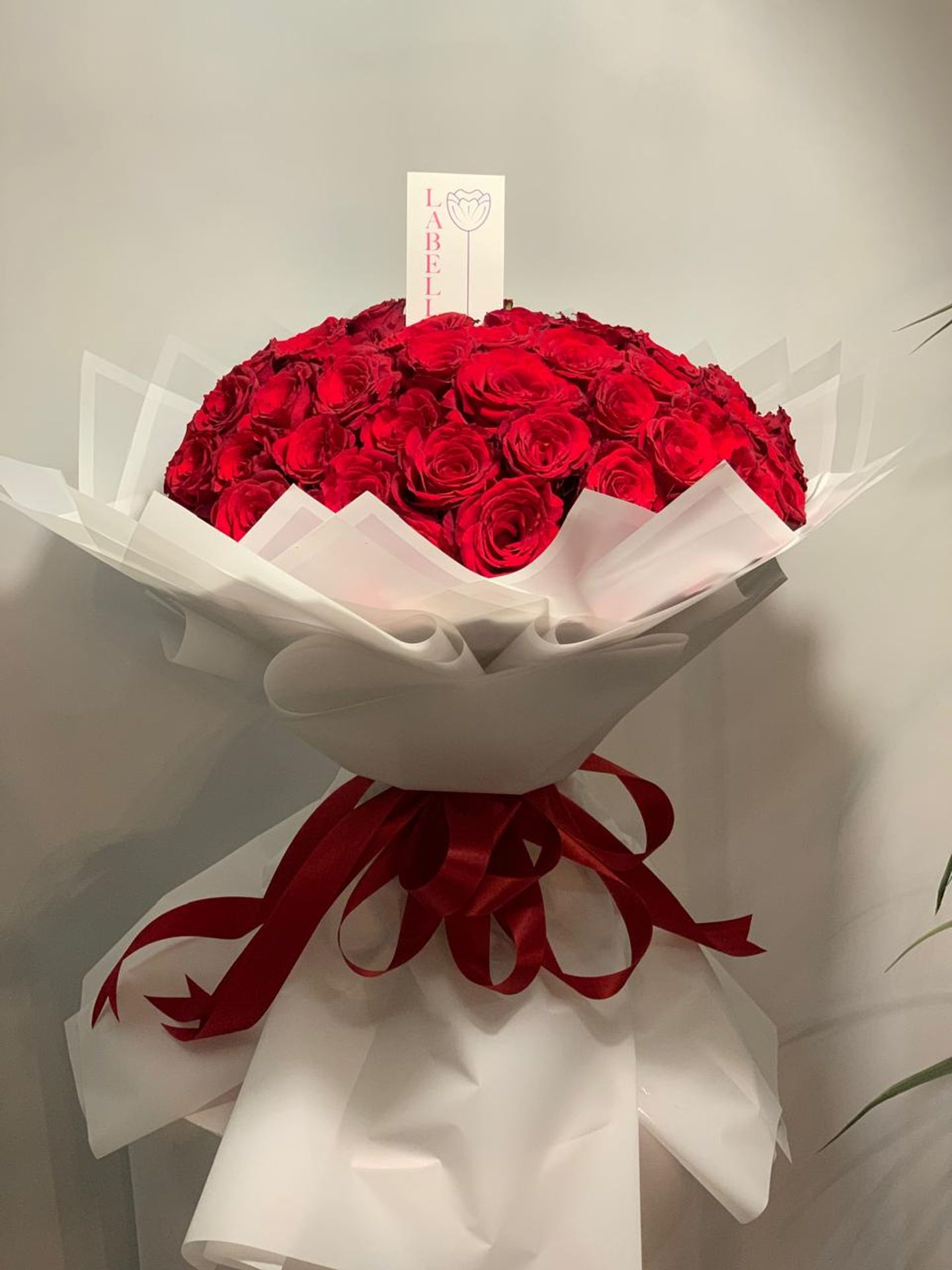 Kind Roses