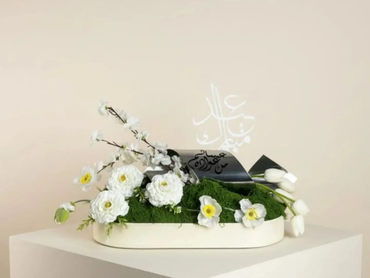 ستناند الهبه عساكم من عواده