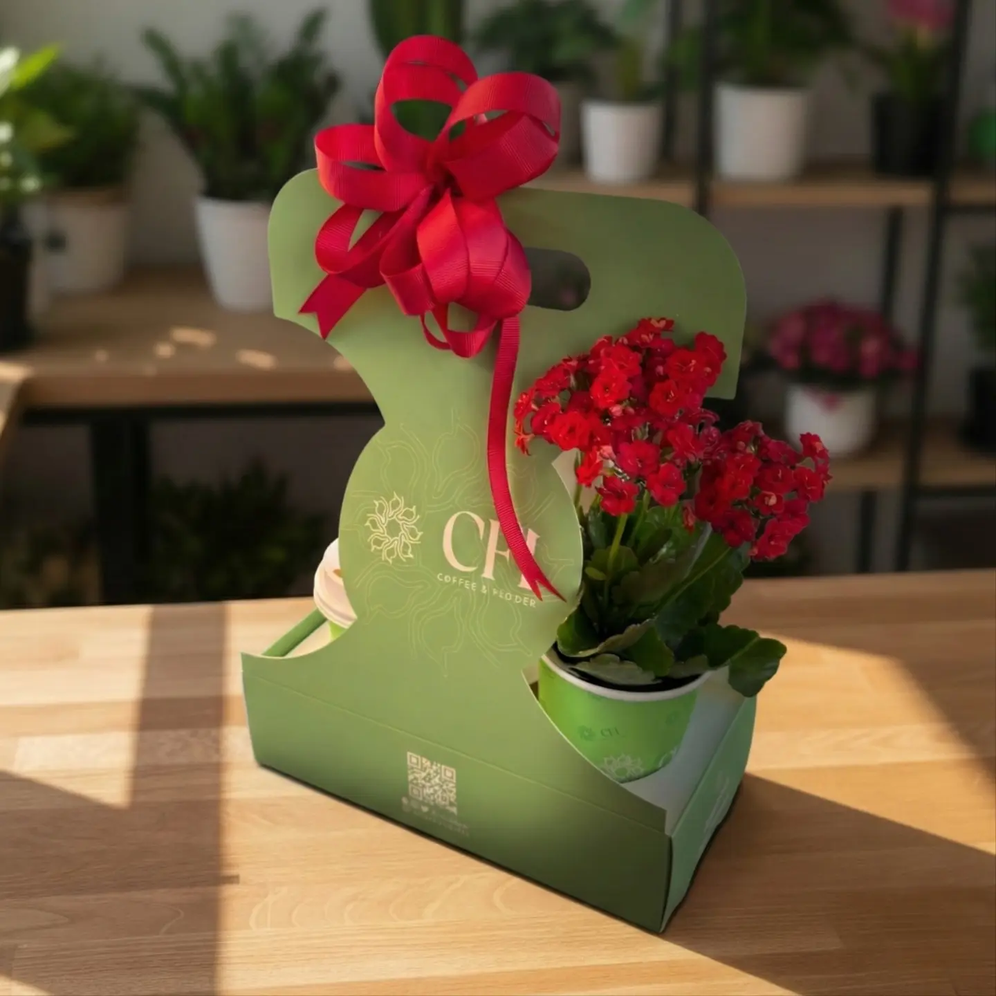 نبتة الكالانشو و قهوة