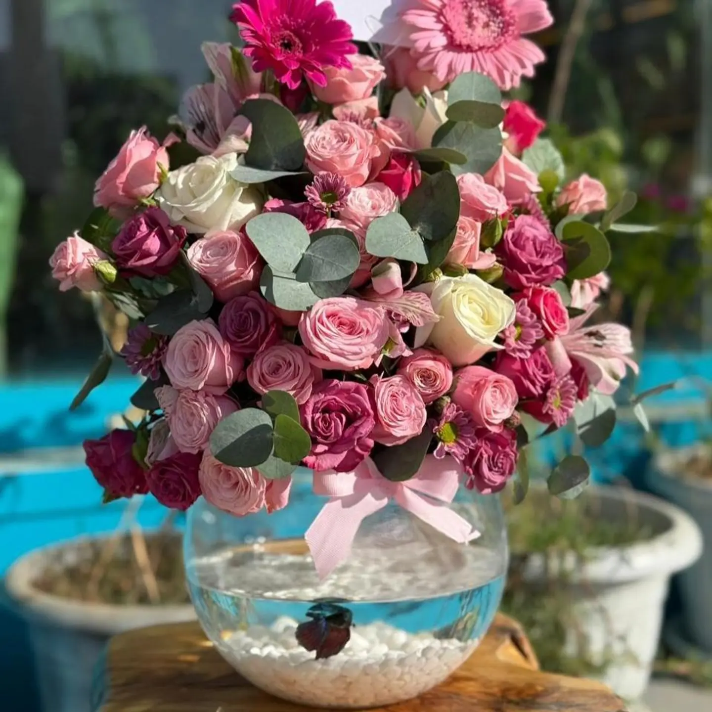 فازة سمك بورد وردي4