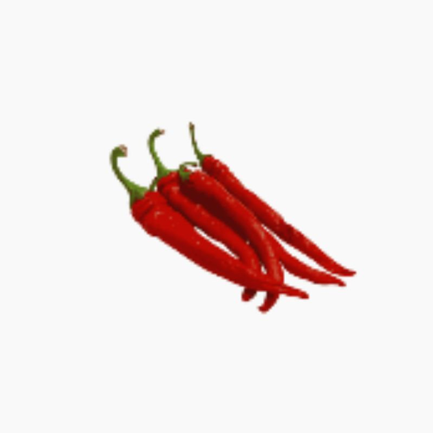 Organic Red Chili Pepper Plate