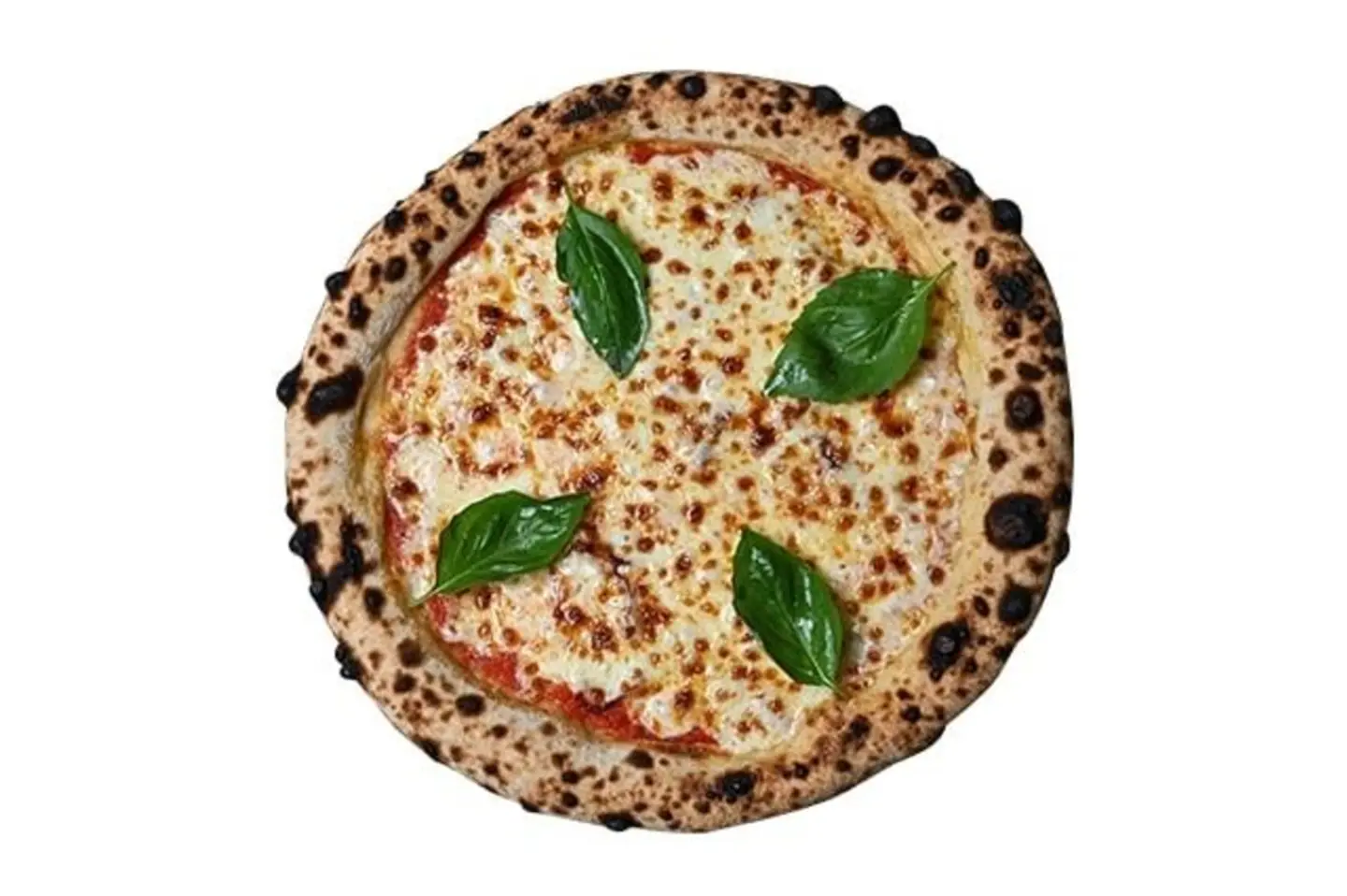 Margherita Pizza
