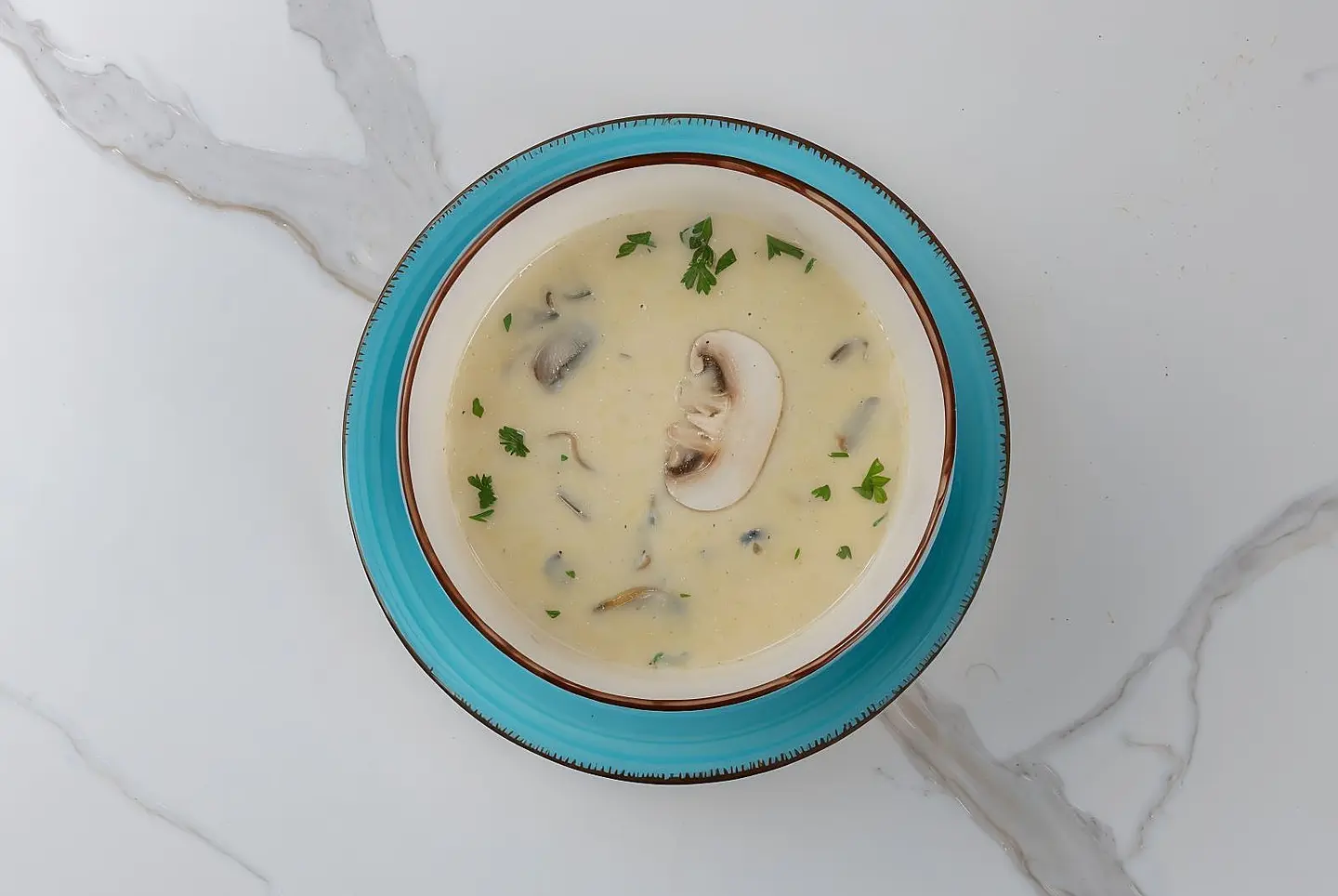 Chicken Mushroom Soup