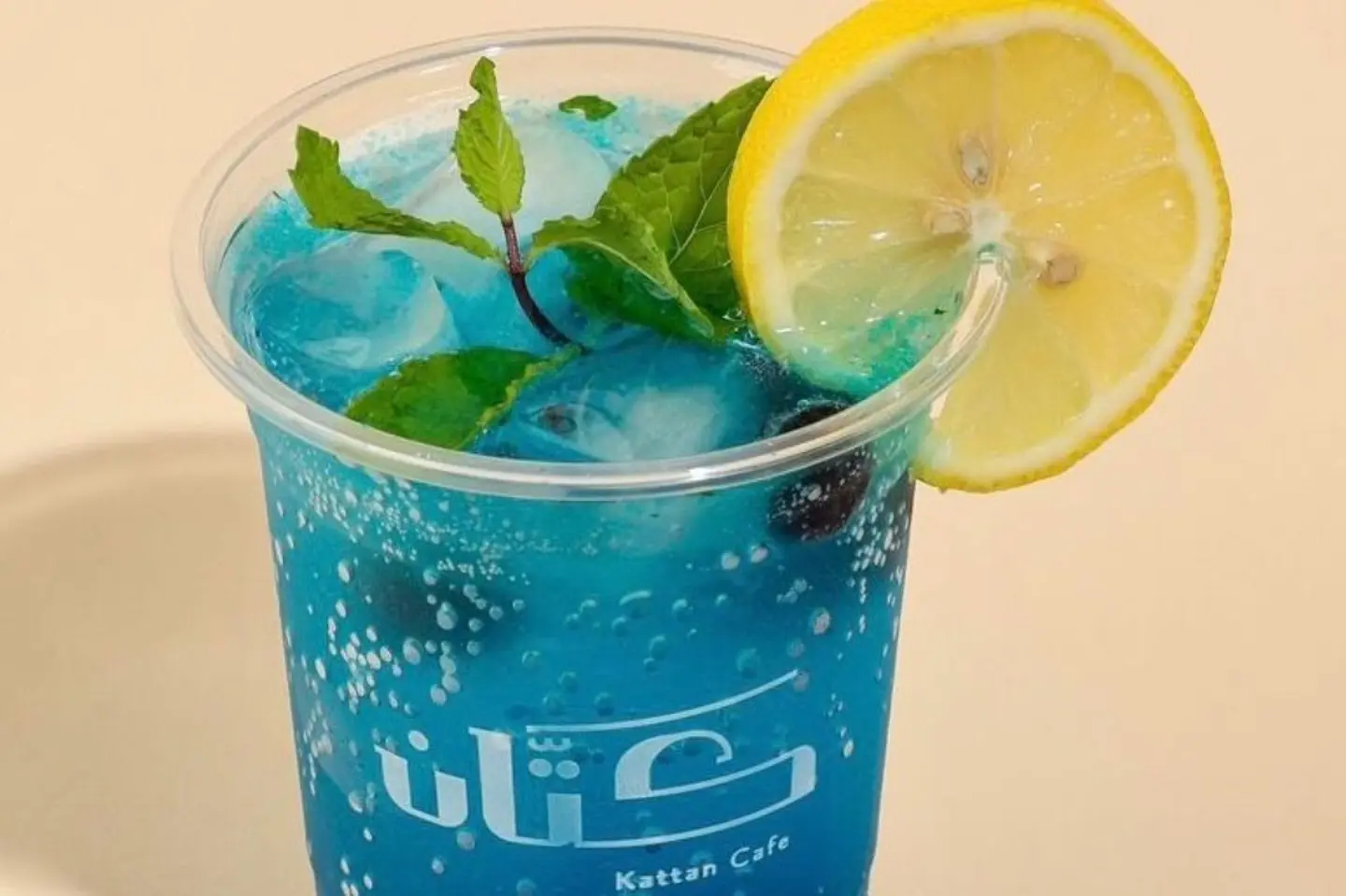 Blueberry Mohito