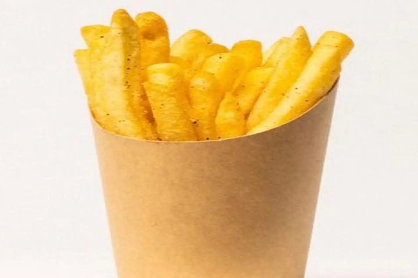 French Fries Sandwich