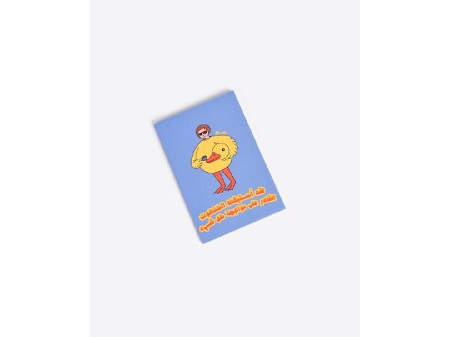 Chick Who Can Face Anything Notebook