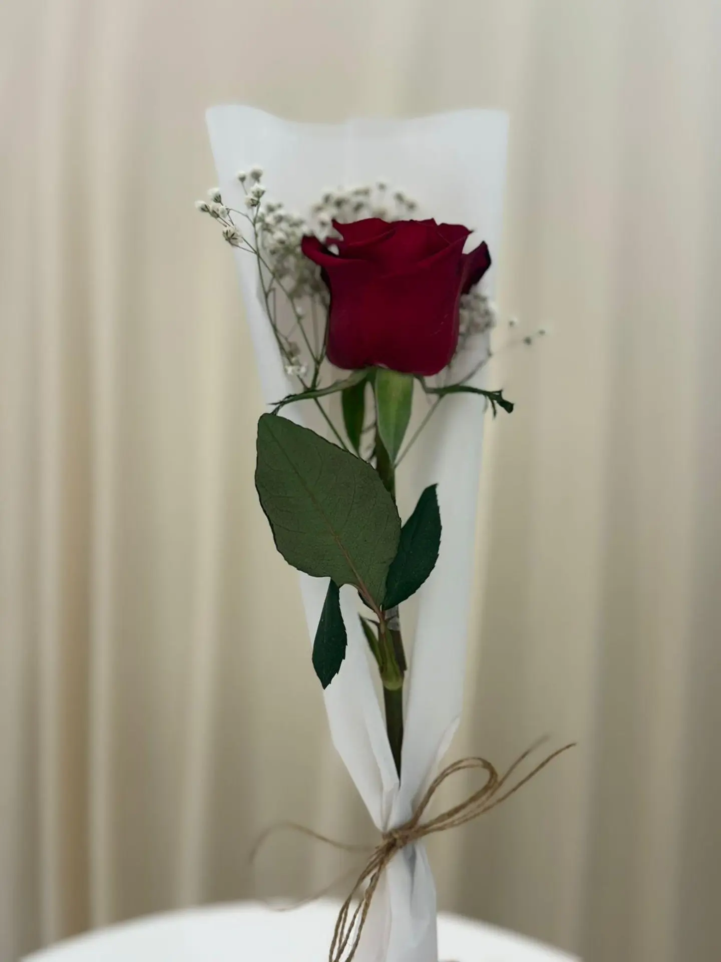 وردة حمراء مع جبسو