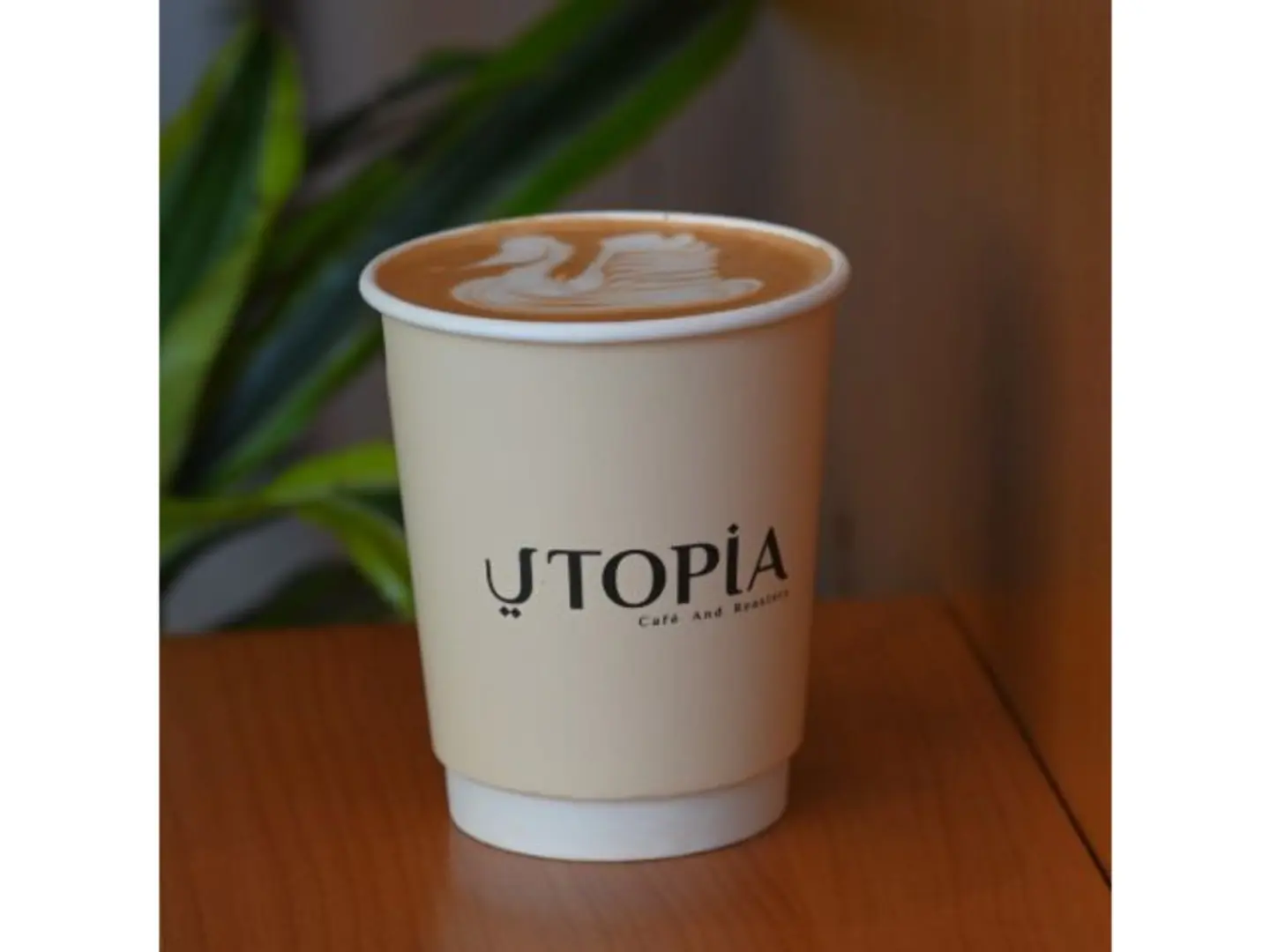 Flat White