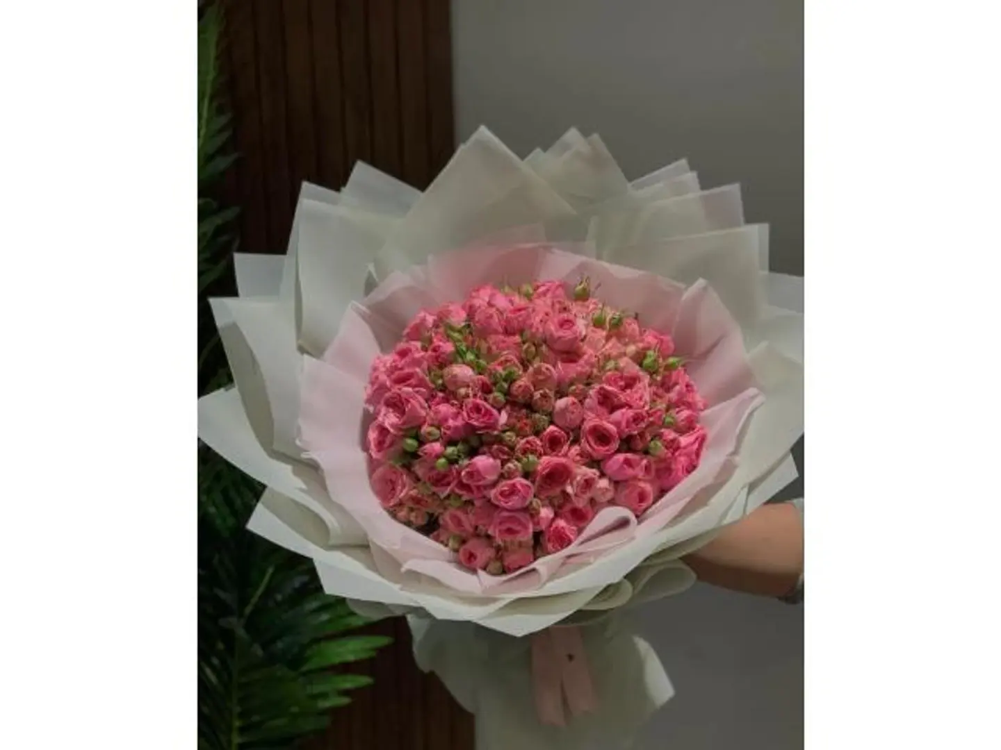 Pink Followers
