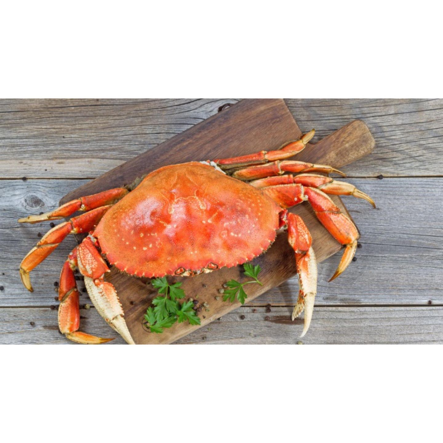 Crab