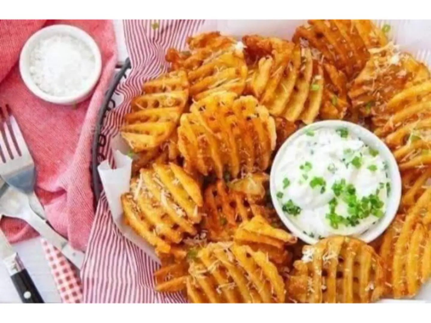 بطاطا نت
