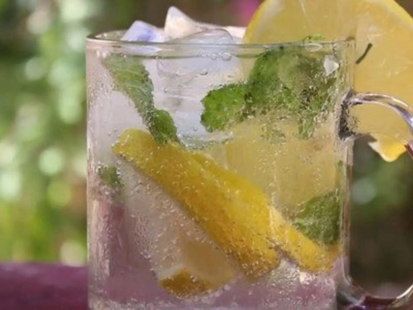 Pomegranate Mojito