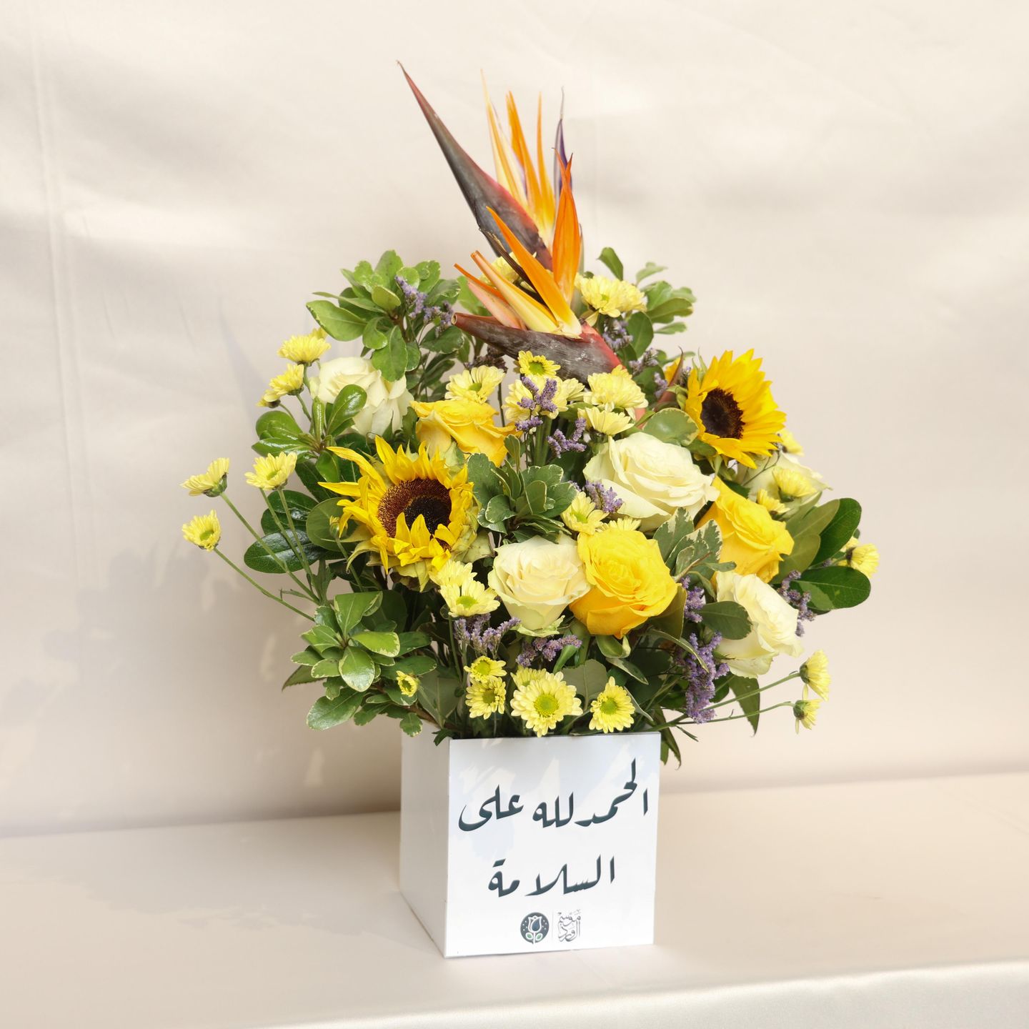 السلامة