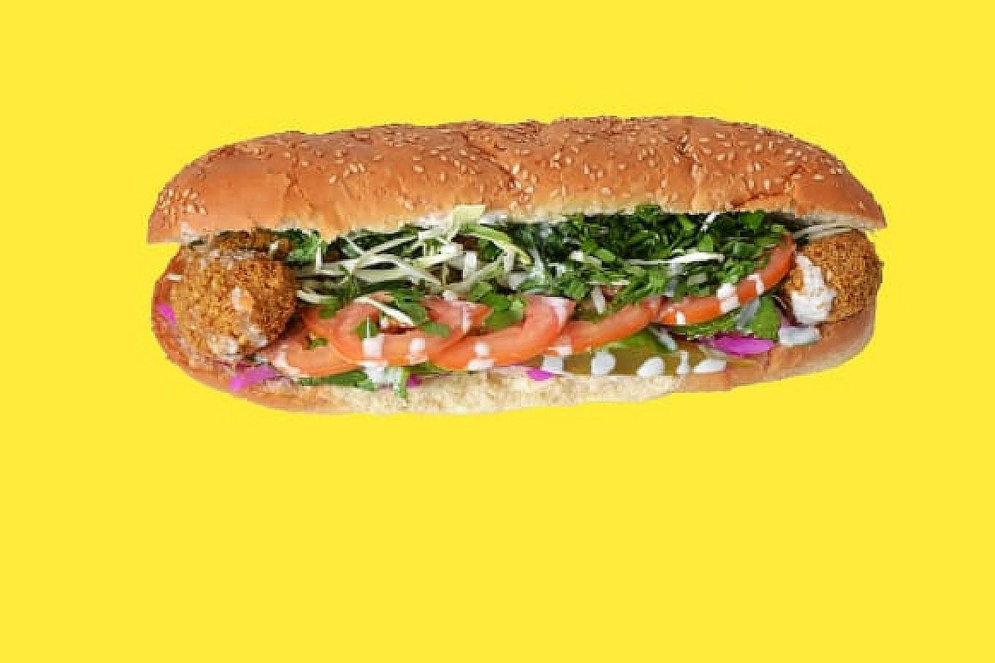 Regular Falafel Sandwich