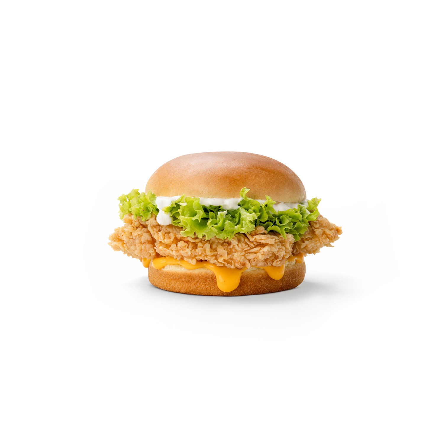 Crispy Burger