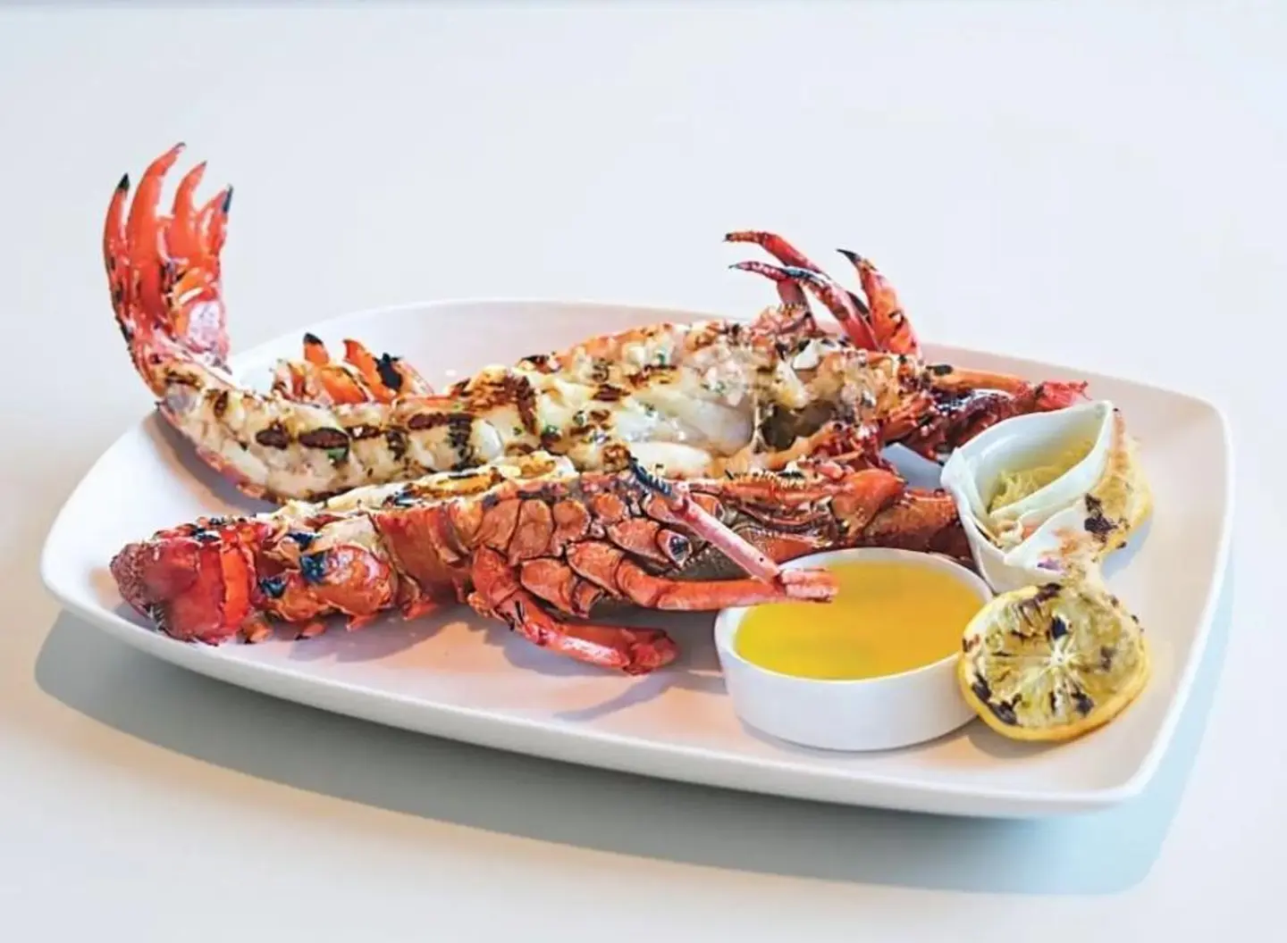 Lobster