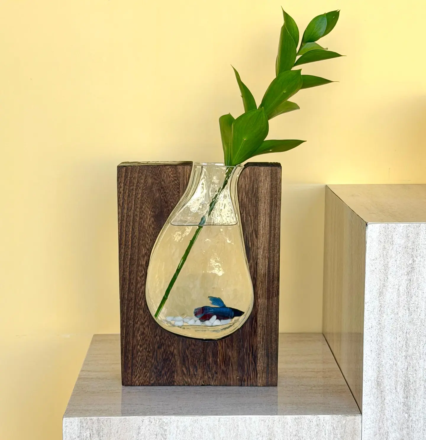 فازة السمكة