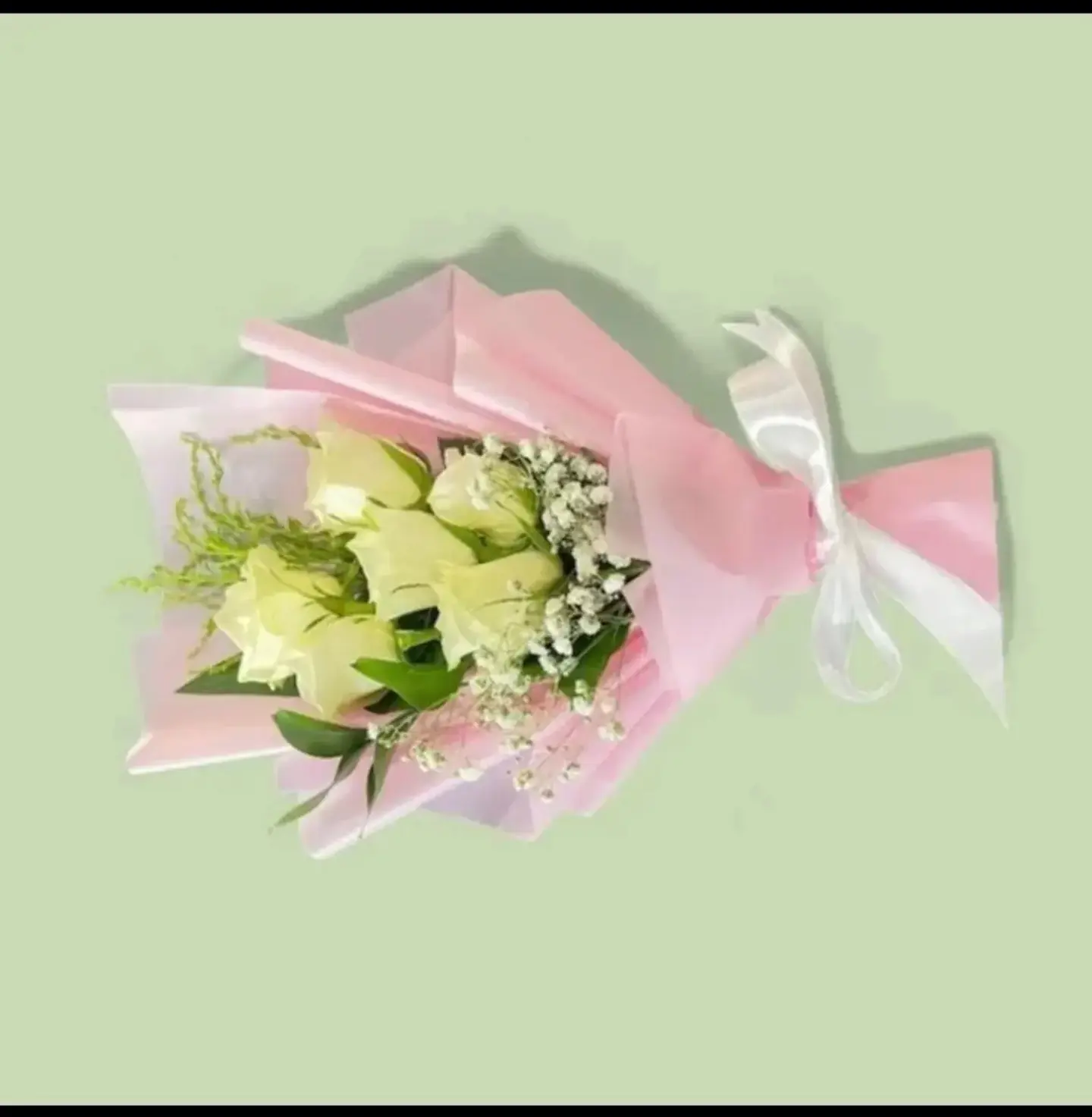 Rose Innocence