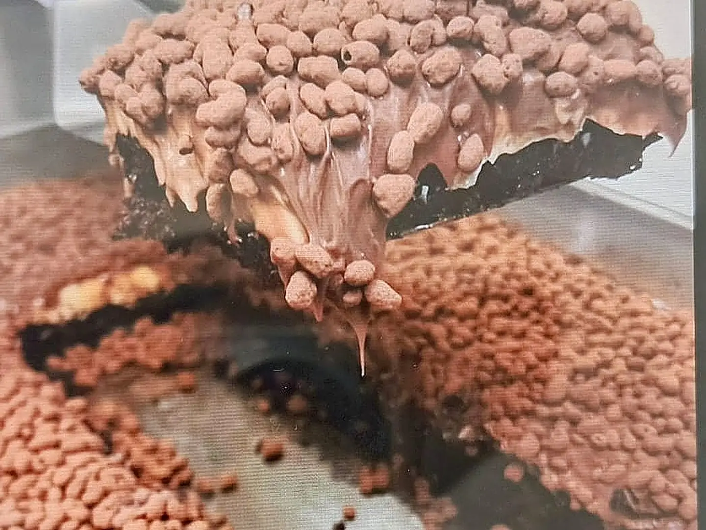 Crunchy