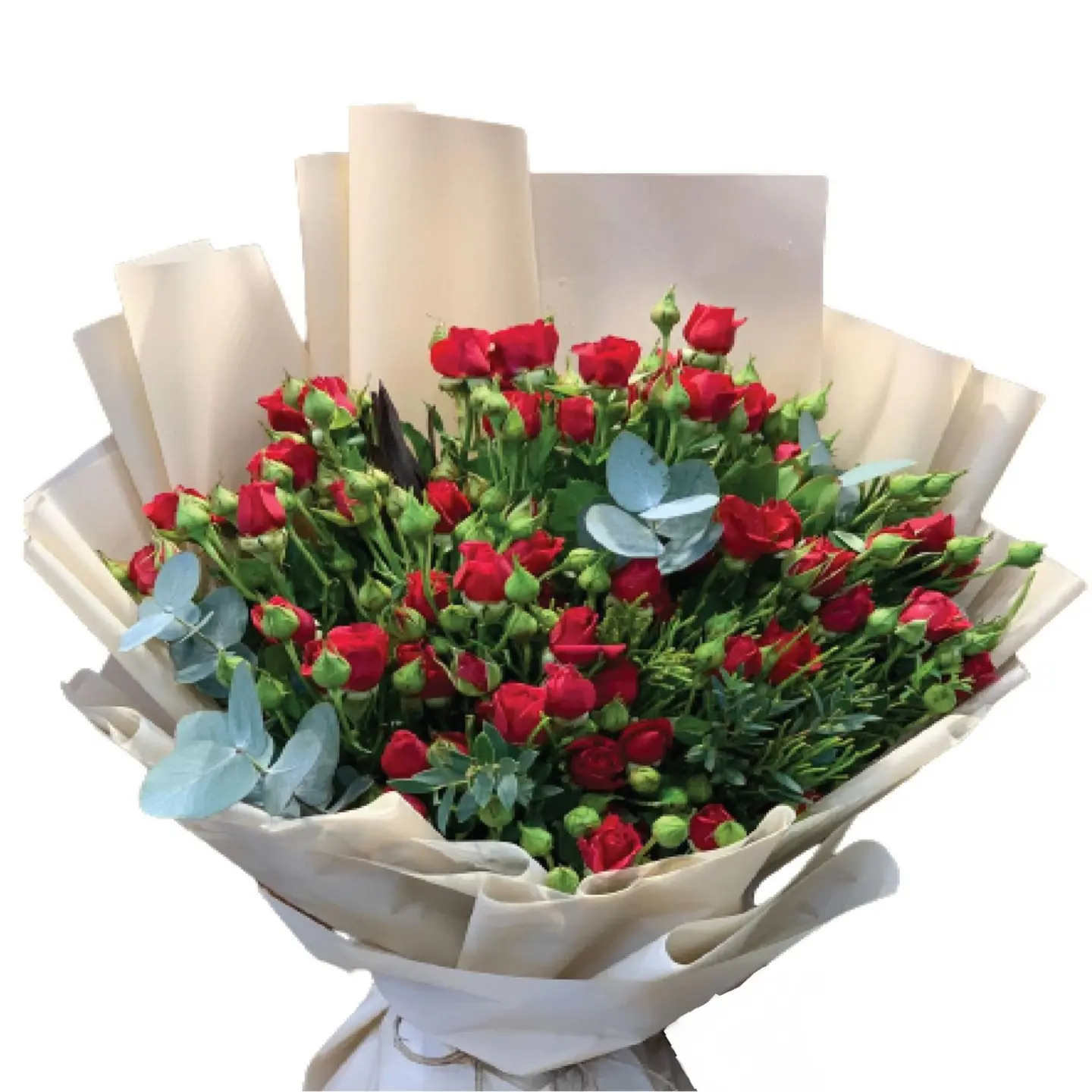 Baby Rose Red