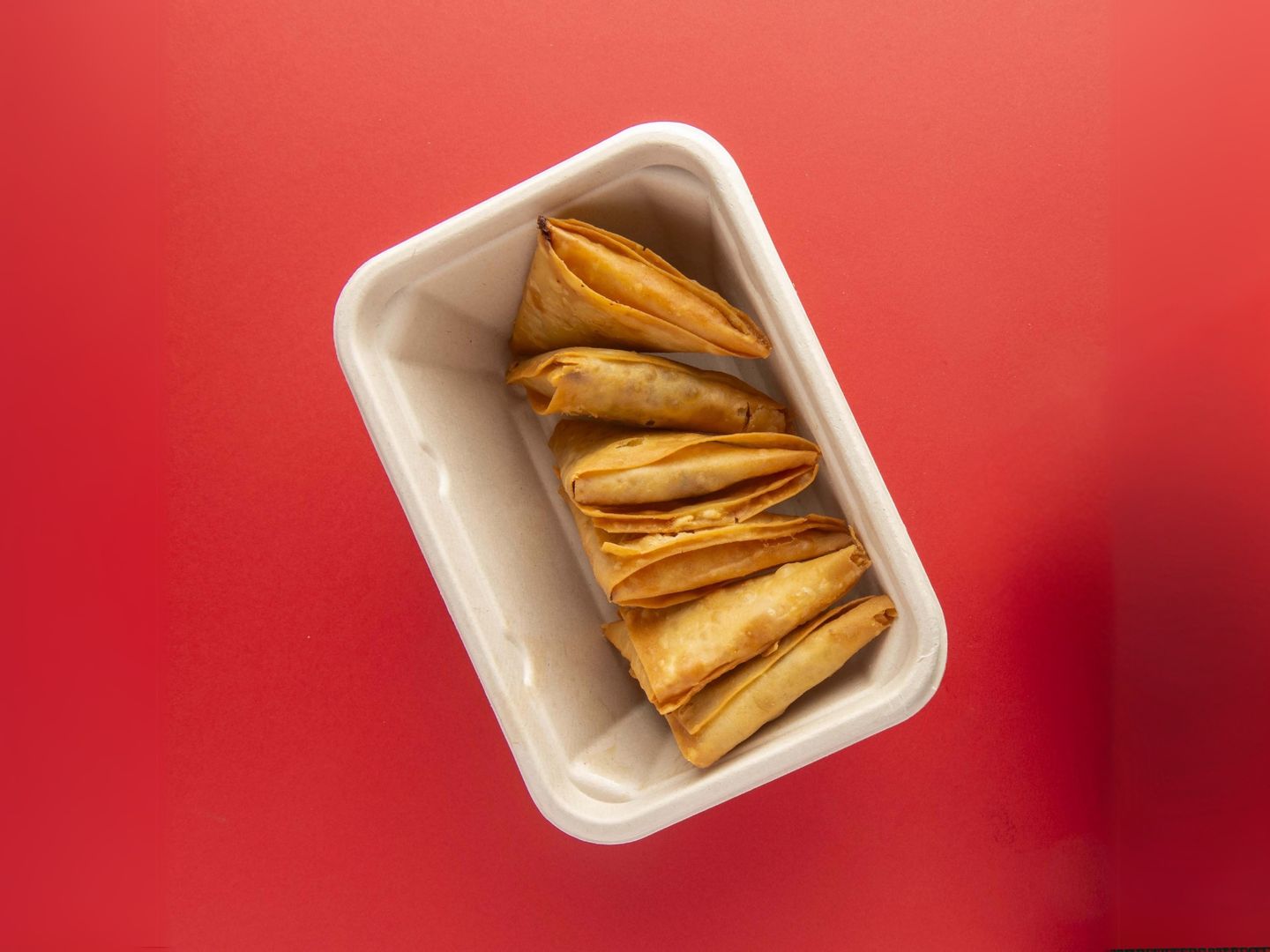 Spicy Meat Samosa