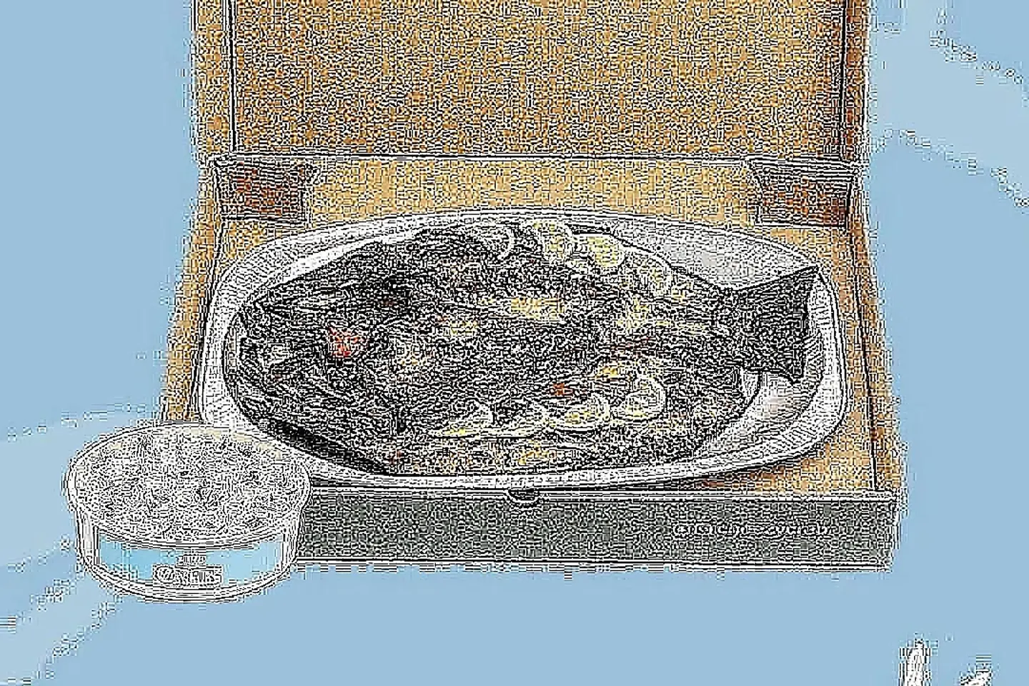 سيباس سيجنتشر