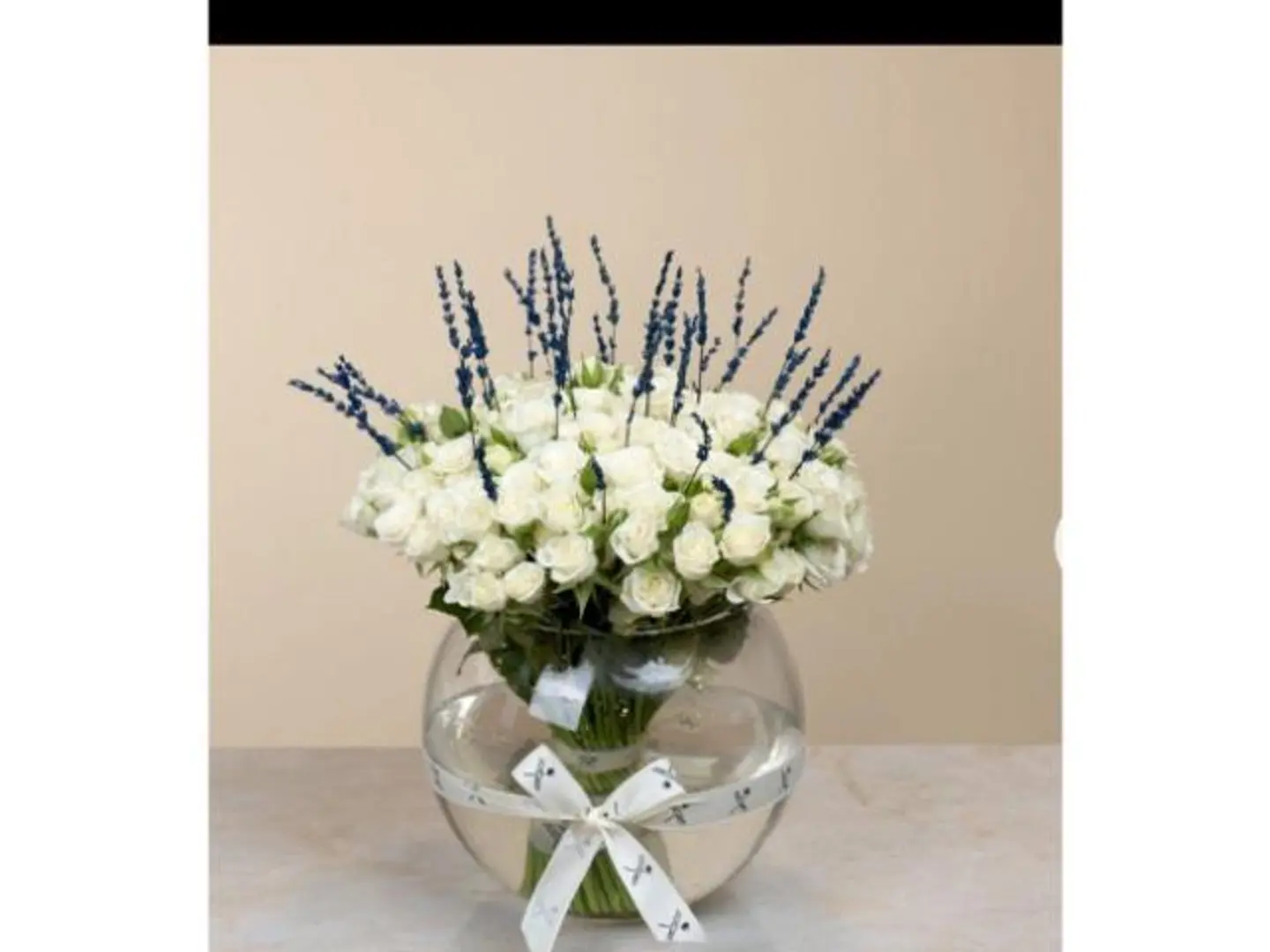 Purity Vase 29