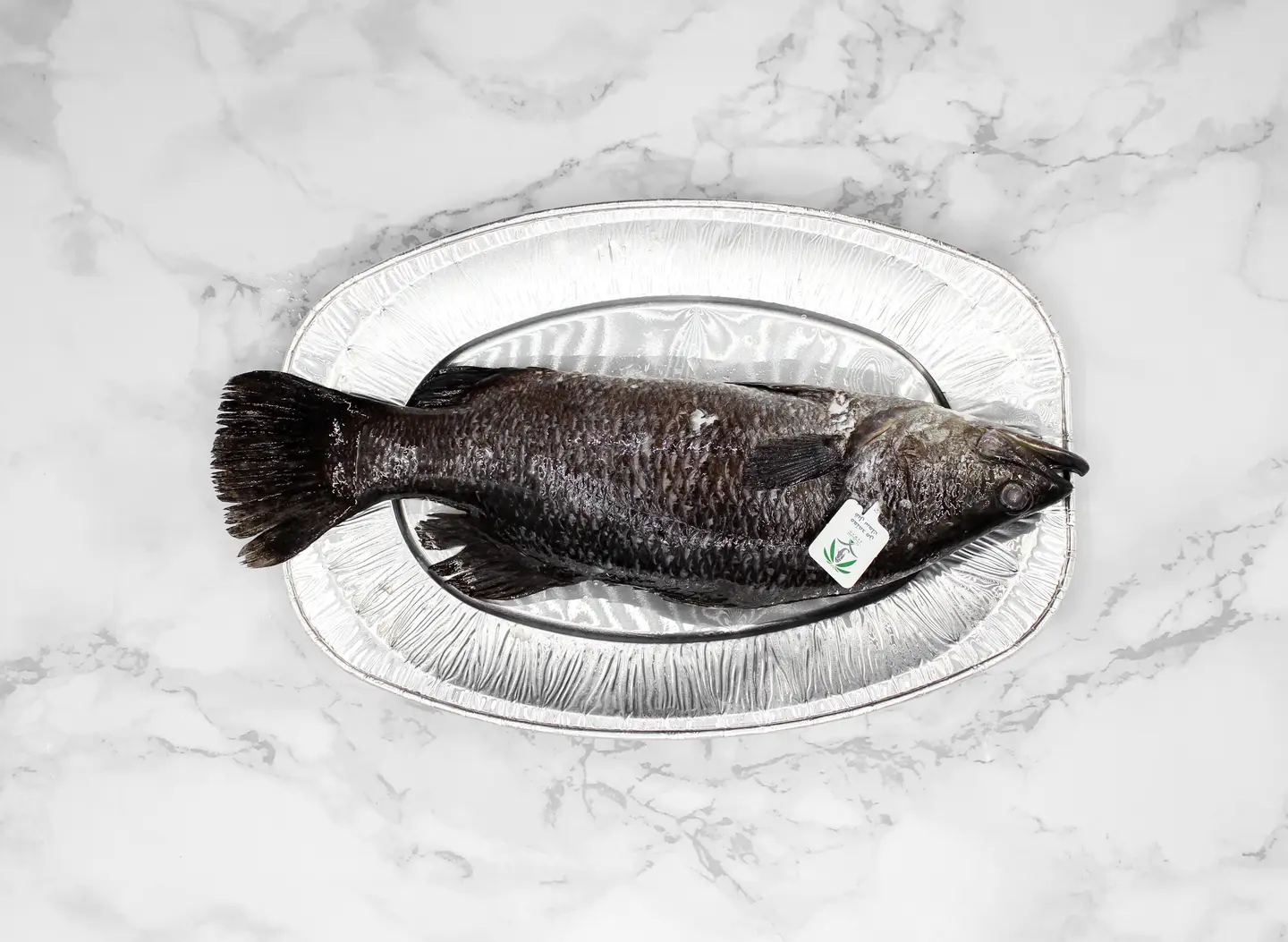 Seabass