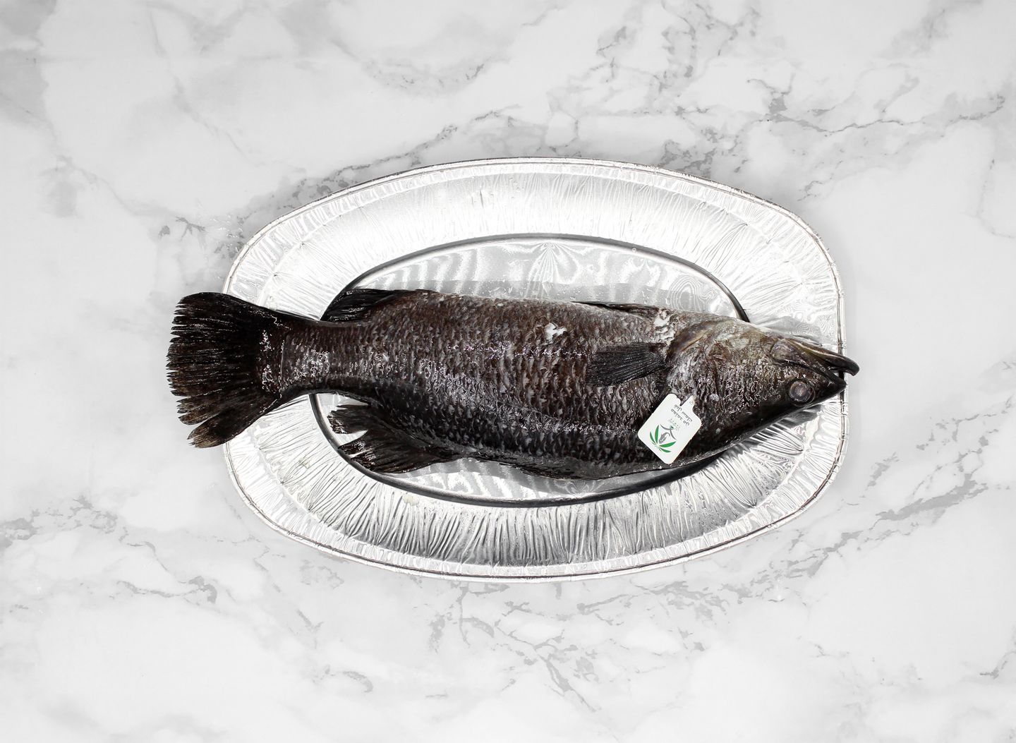 Seabass