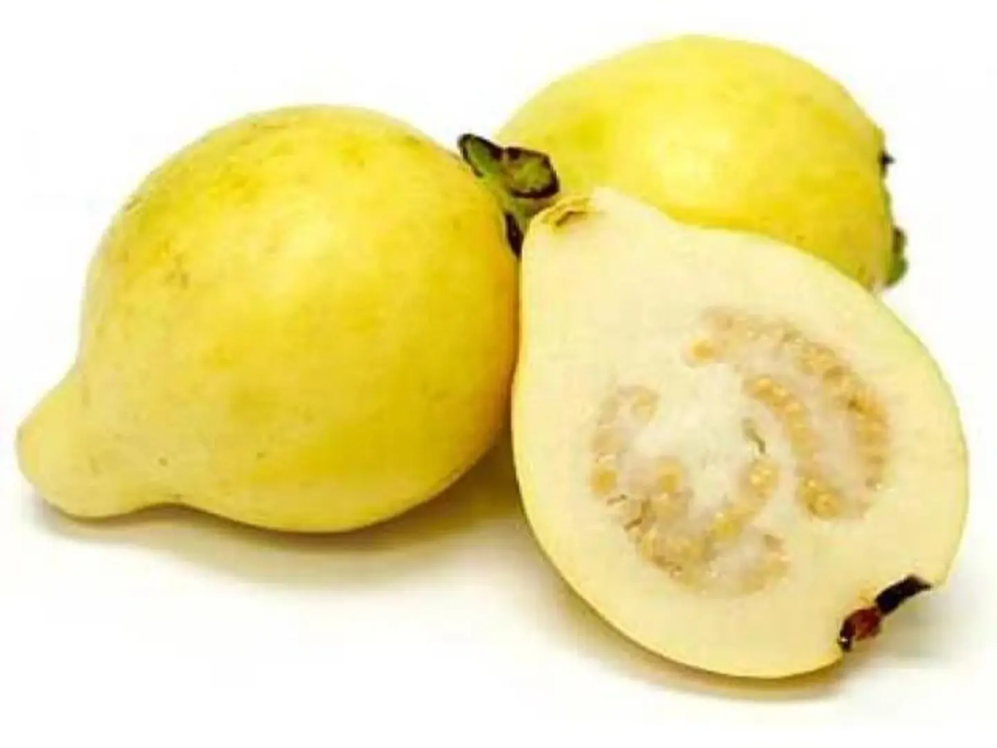 Guava