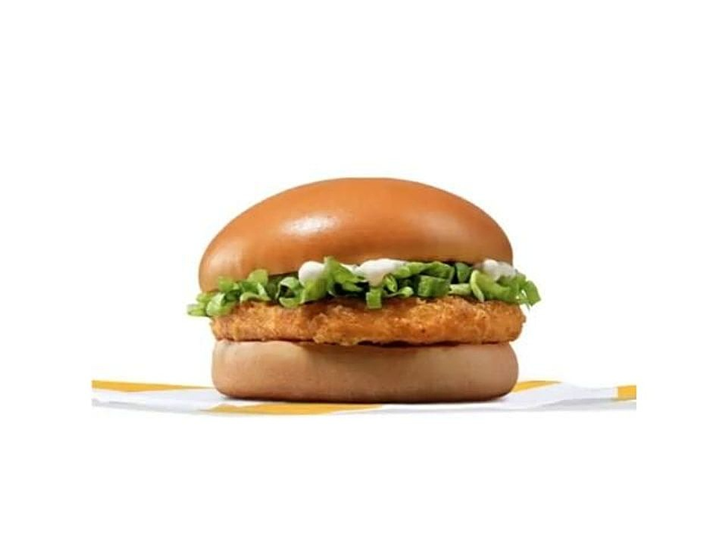 Crispy Grilled Meat Meal