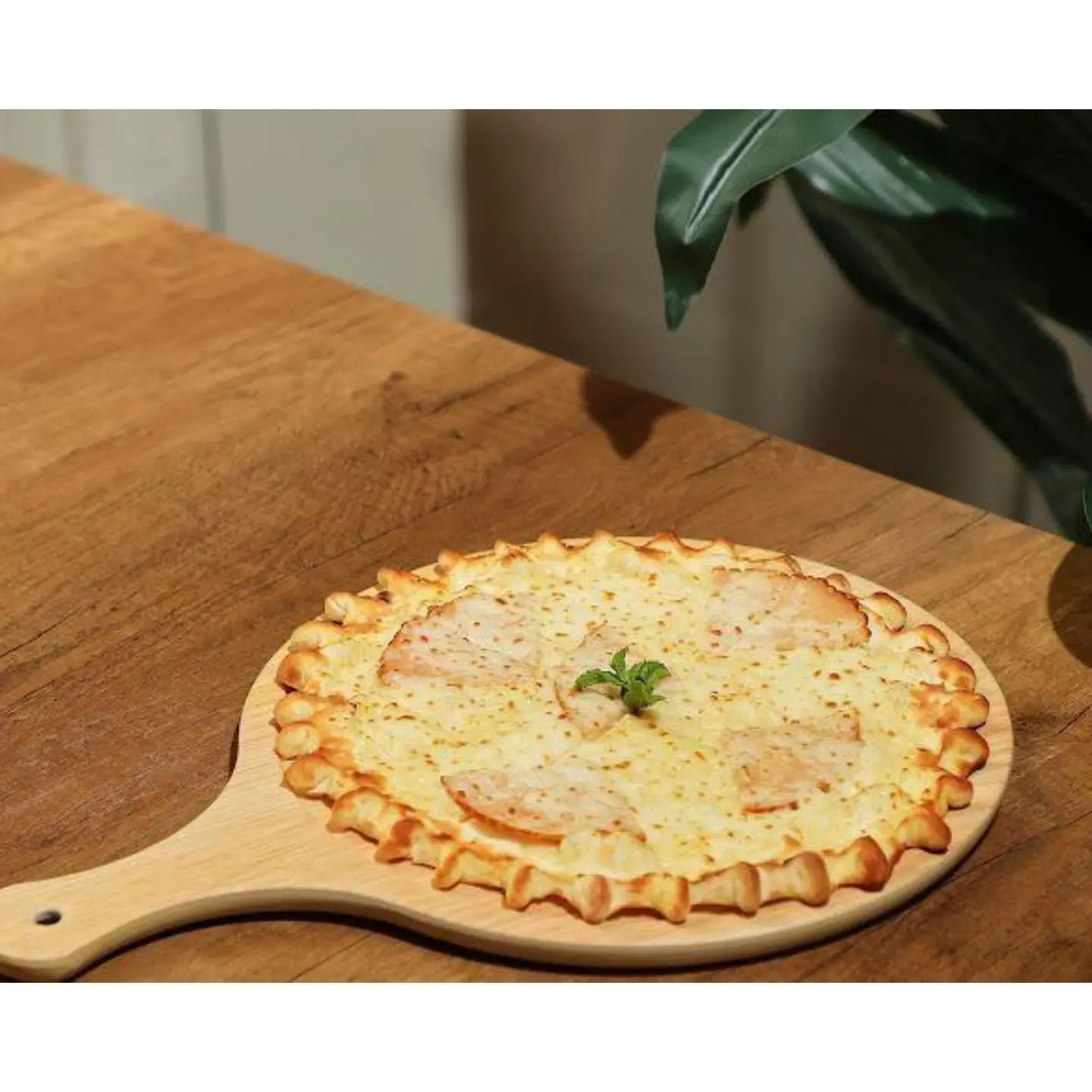 منقوشة تيركي