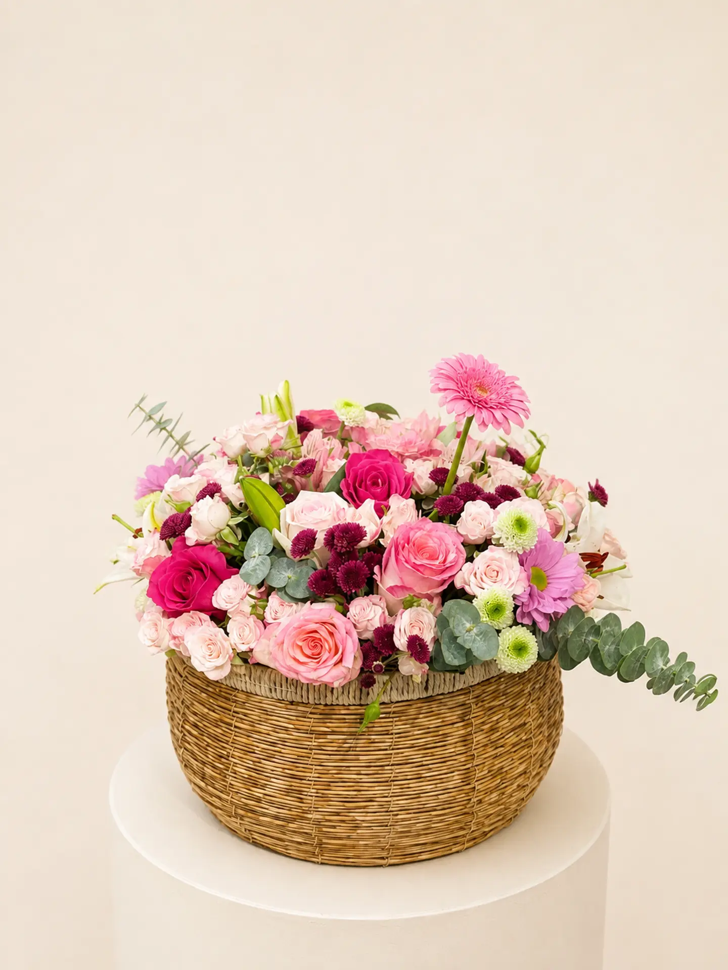 Amaris Basket