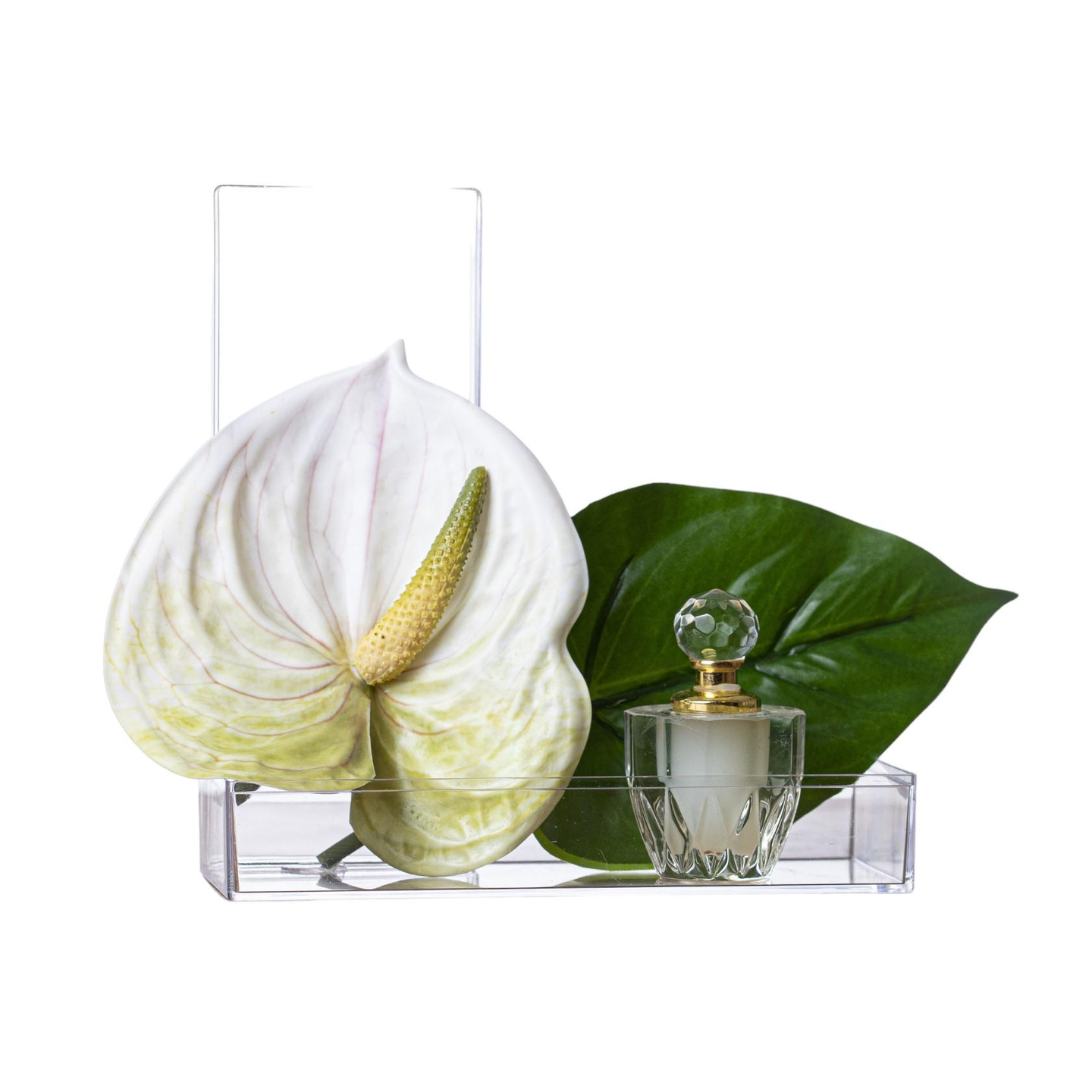 White Flamingo Flower With Musk