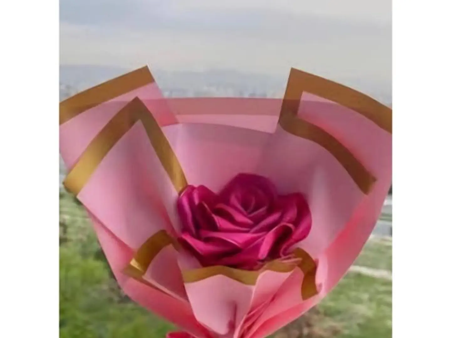 Single Pink Rose With Wrapping