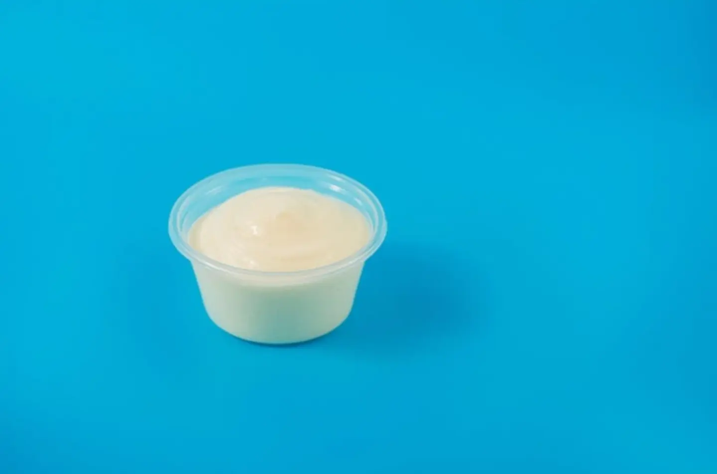 Garlic Sauce