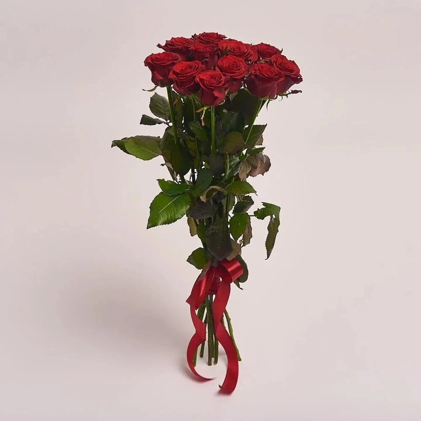 Red Roses Without Packaging 10 Beads