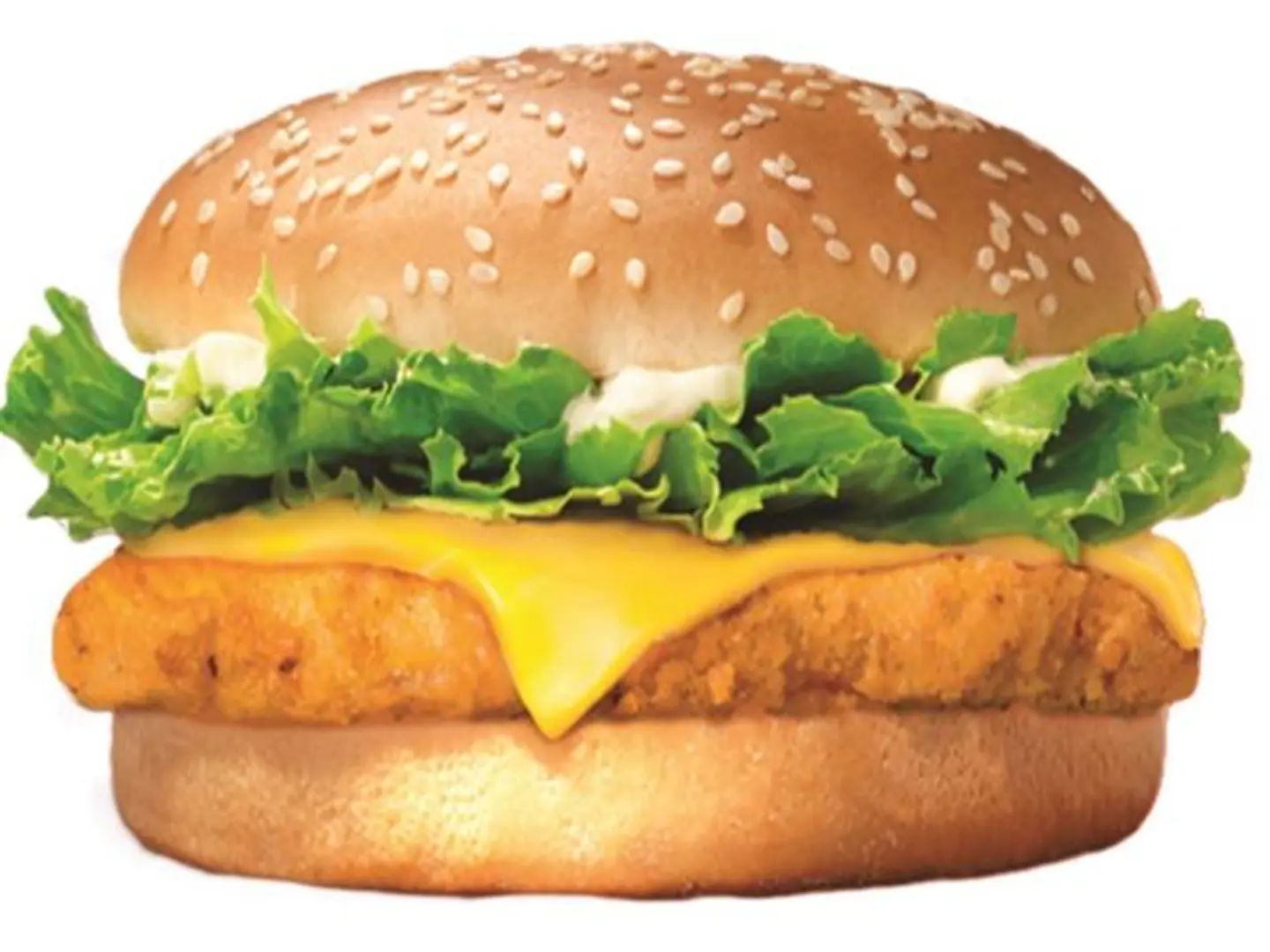 Chicken Burger Sandwich