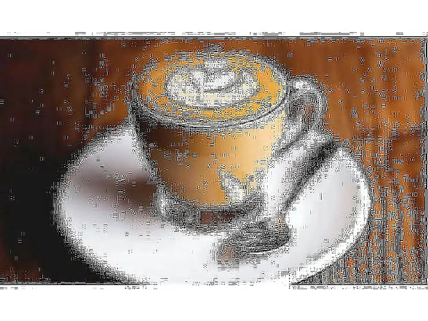 Spanish Latte