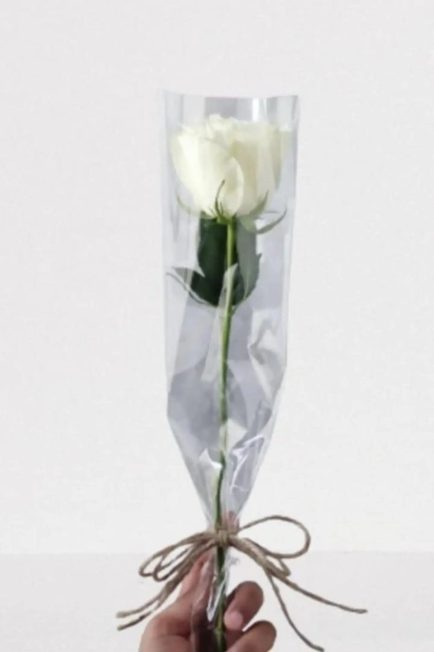 ورده بيضاء مع تغليف شفاف