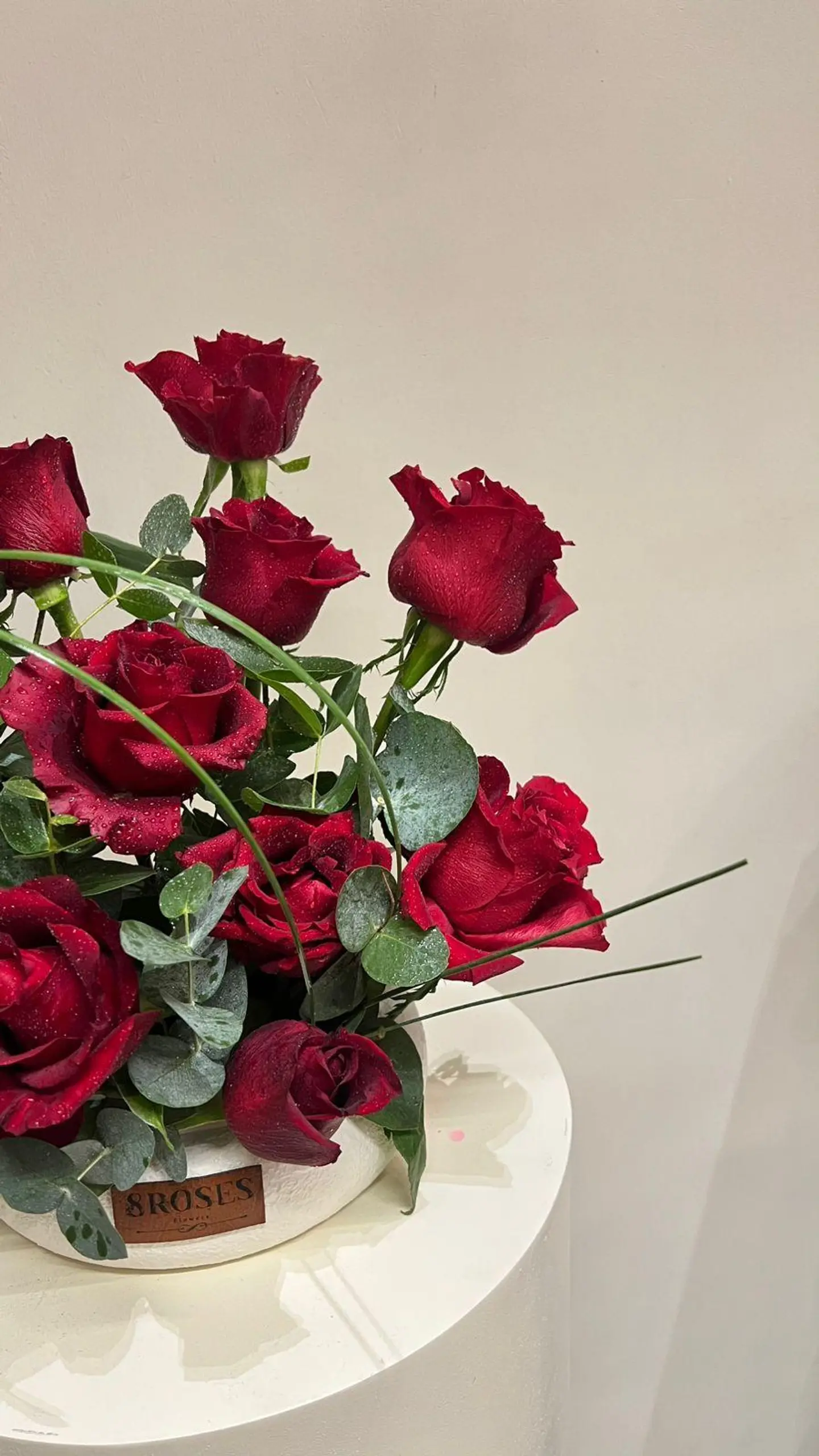 تحفة القرمز الملكي