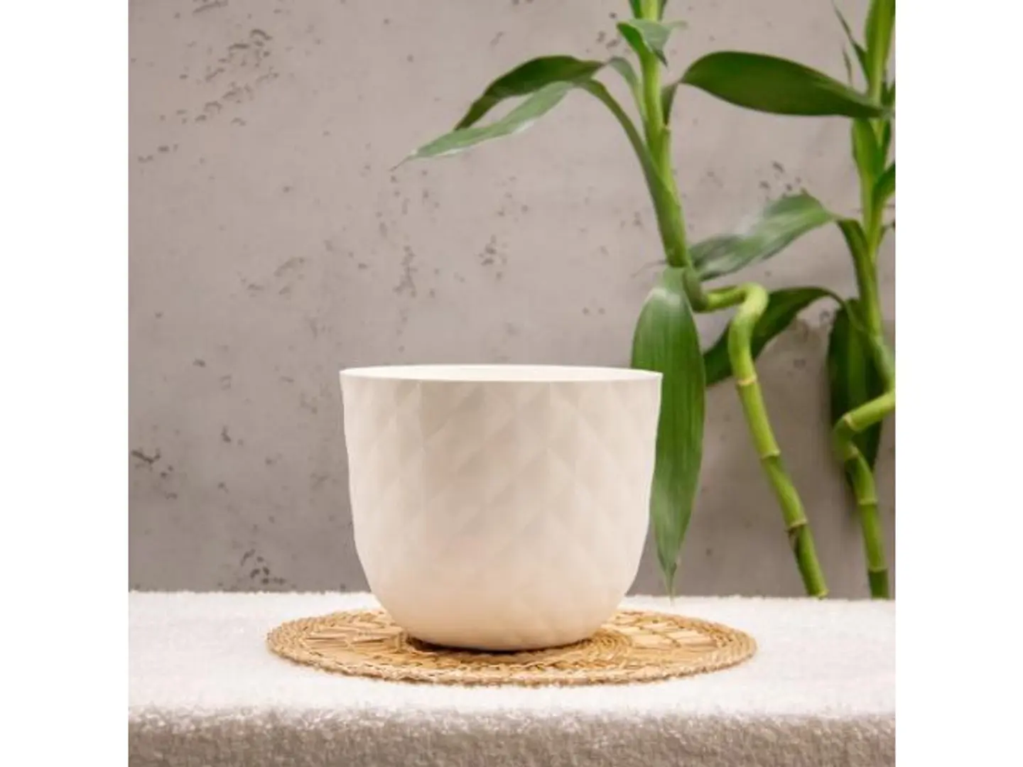 Small Tropical Basin