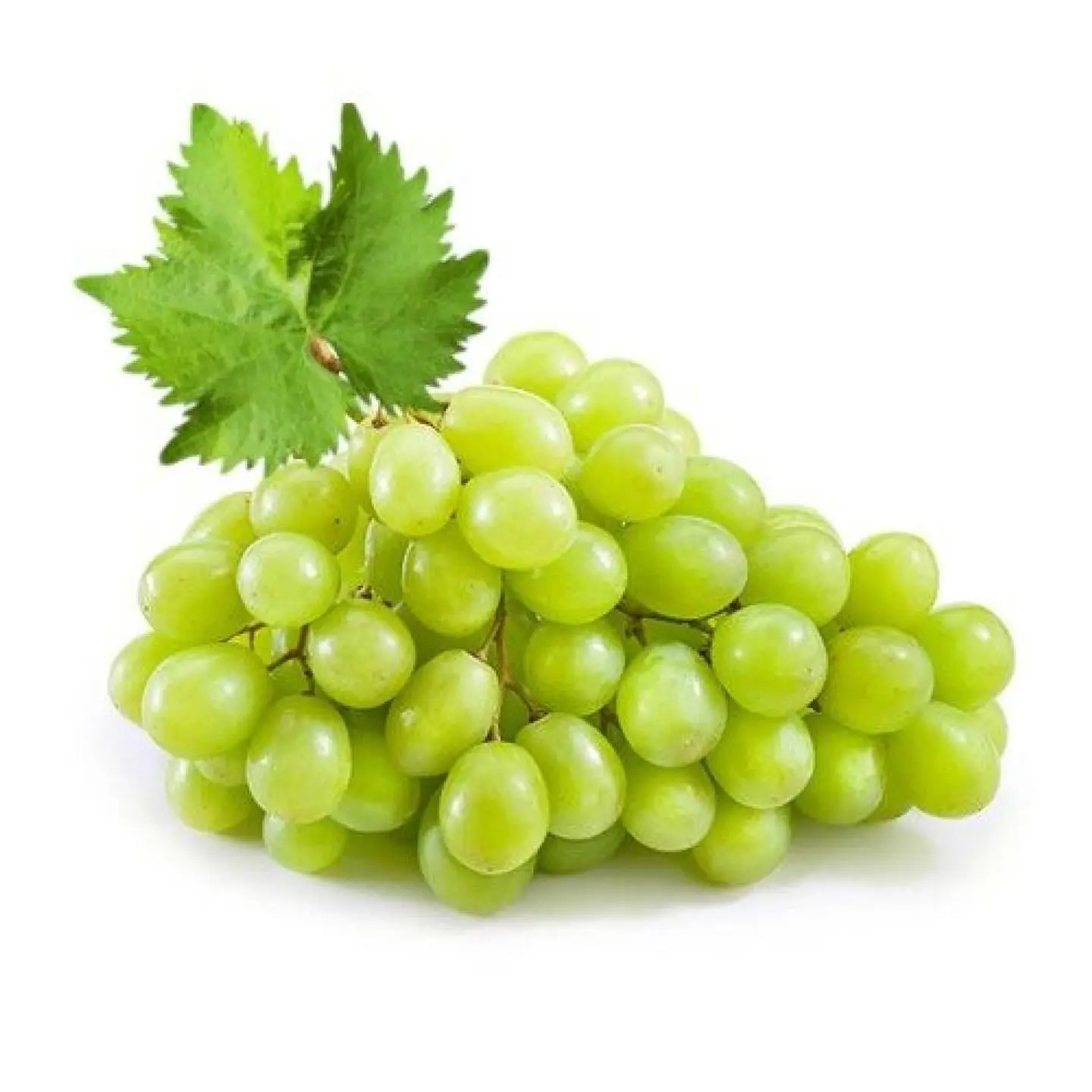 عنب أبيض كيلو
