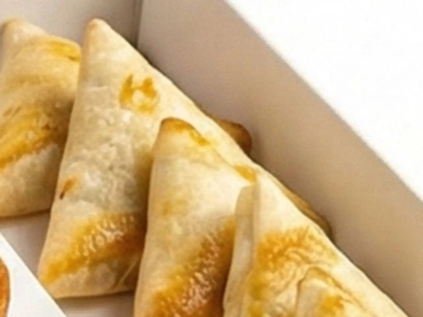 Chicken Samposa