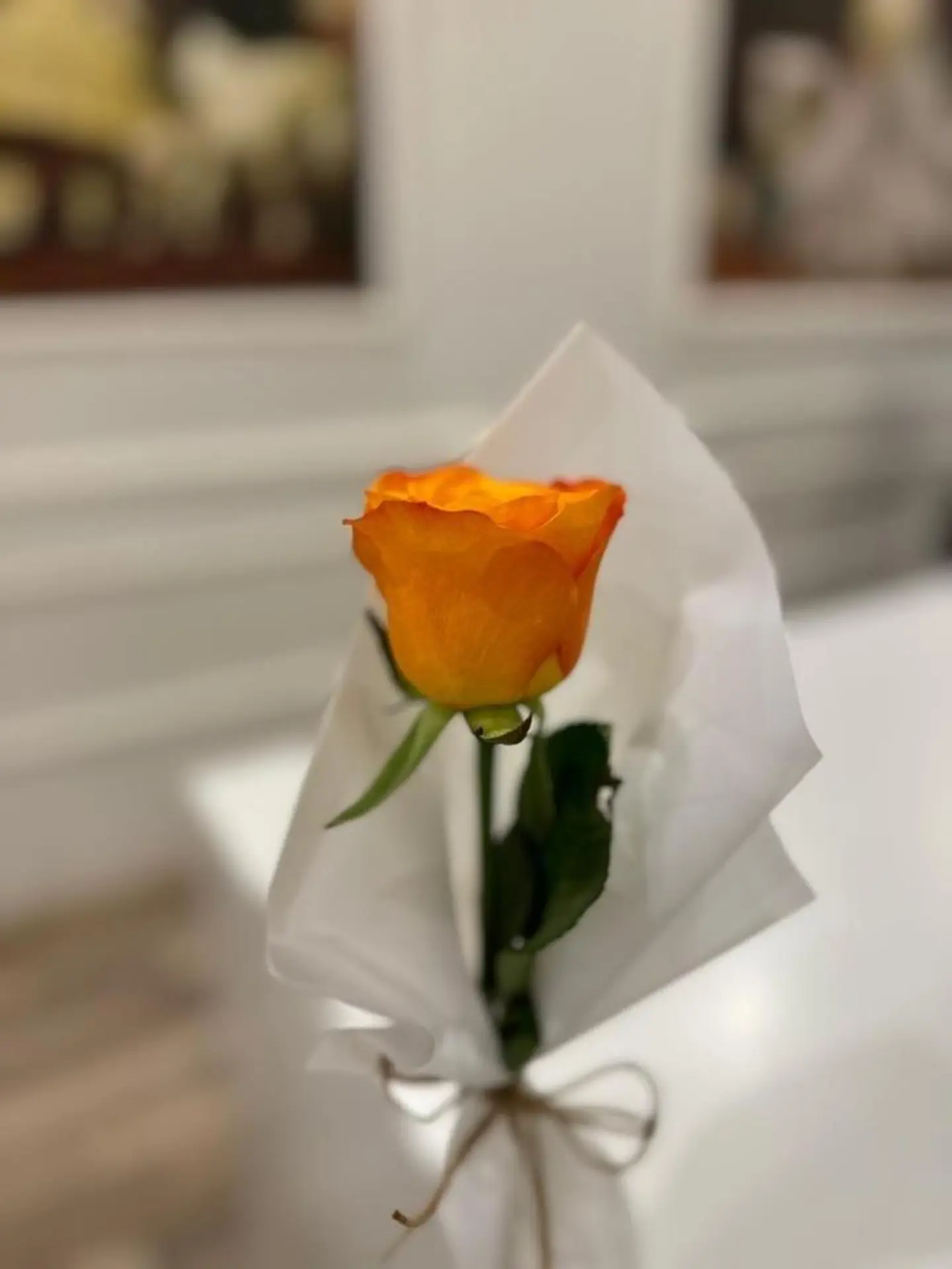 Rose Orange Rose